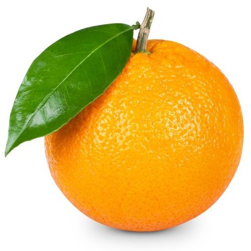 Valencia and Navel Fresh Orange