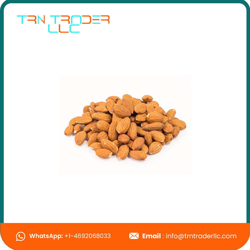 Hot Sale Guaranteed Quality Almond Nuts Without Shell at Bulk Price