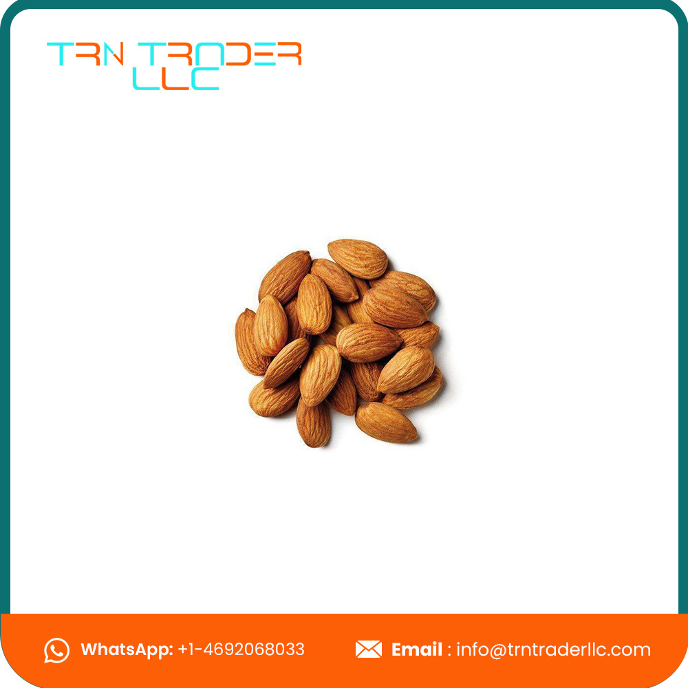 Hot Sale Guaranteed Quality Almond Nuts Without Shell at Bulk Price