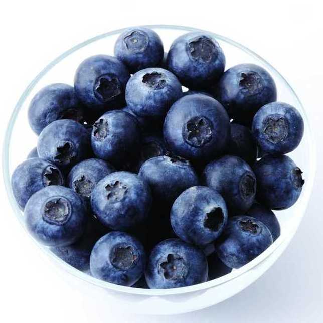 Organic Wild IQF Frozen Cultivated Blueberry