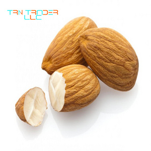 Hot Sale Guaranteed Quality Almond Nuts Without Shell at Bulk Price