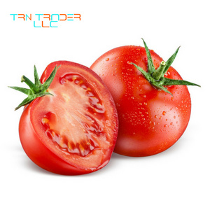 Delicious High Quality Organic Cultivation Type Fresh Tomatoes