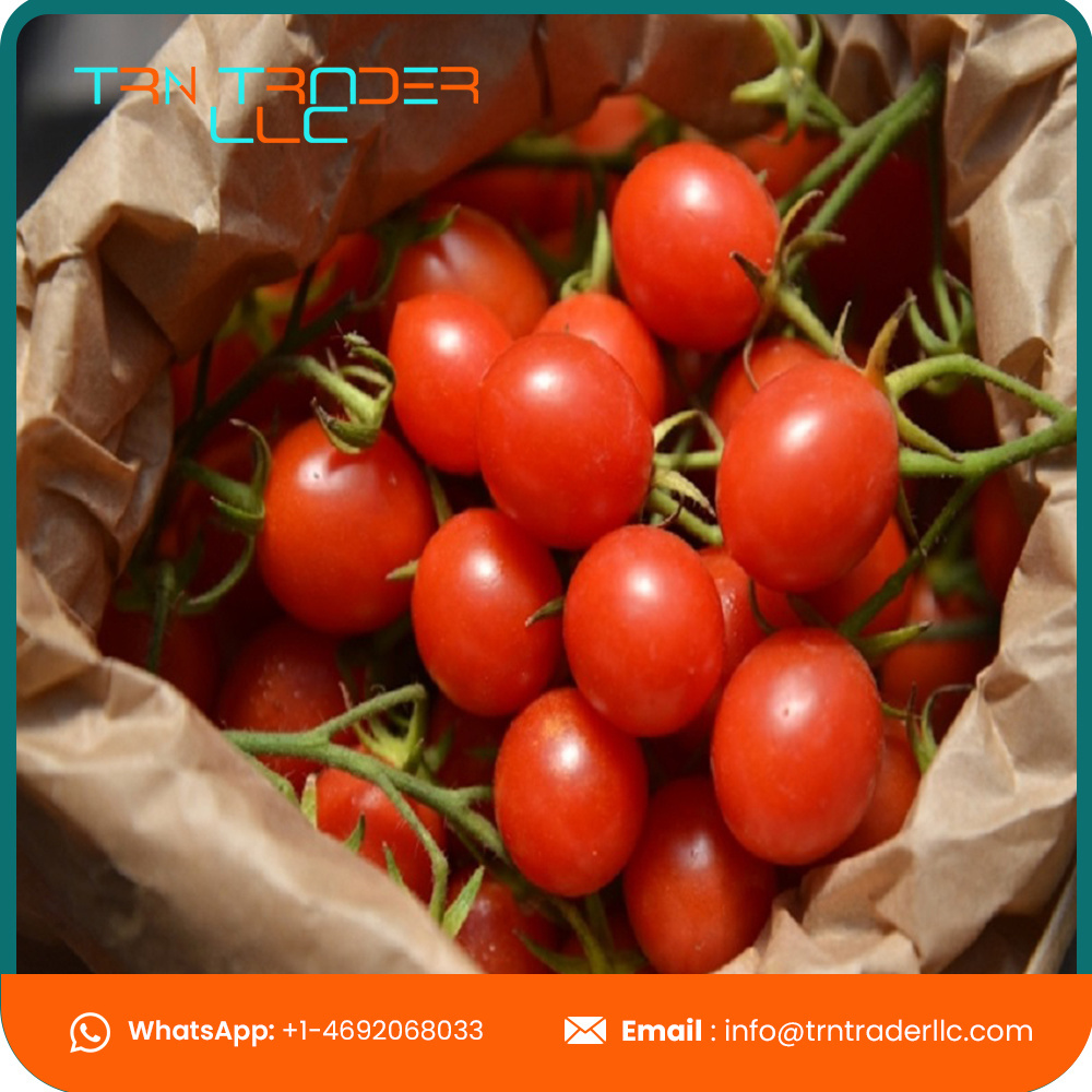 Delicious High Quality Organic Cultivation Type Fresh Tomatoes