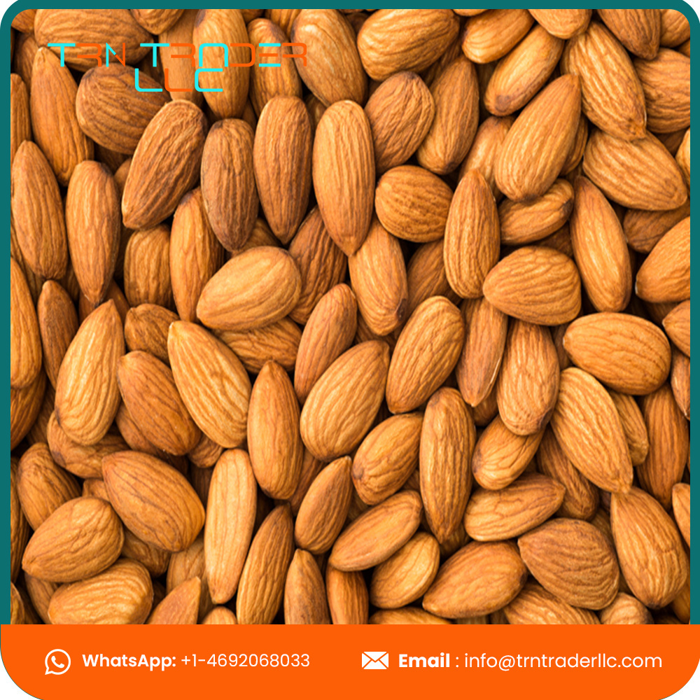 Hot Sale Guaranteed Quality Almond Nuts Without Shell at Bulk Price