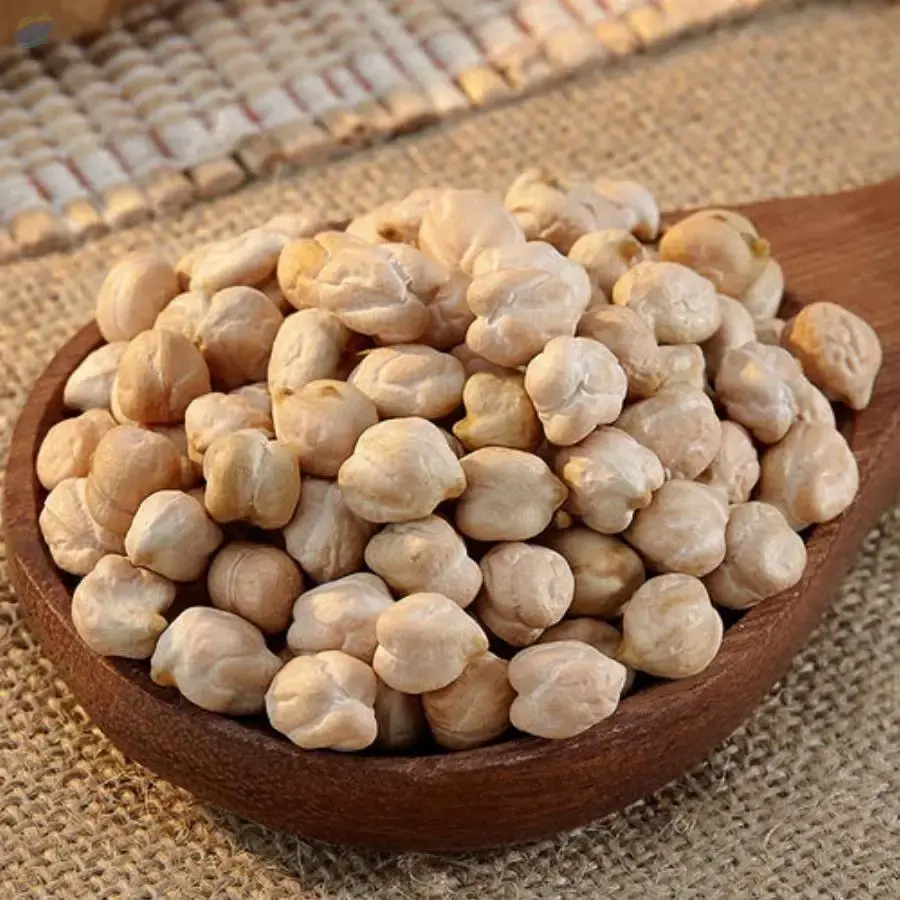 Wholesale Chickpeas For sale / Dried Organic Chickpeas High Quality Bulk For sale