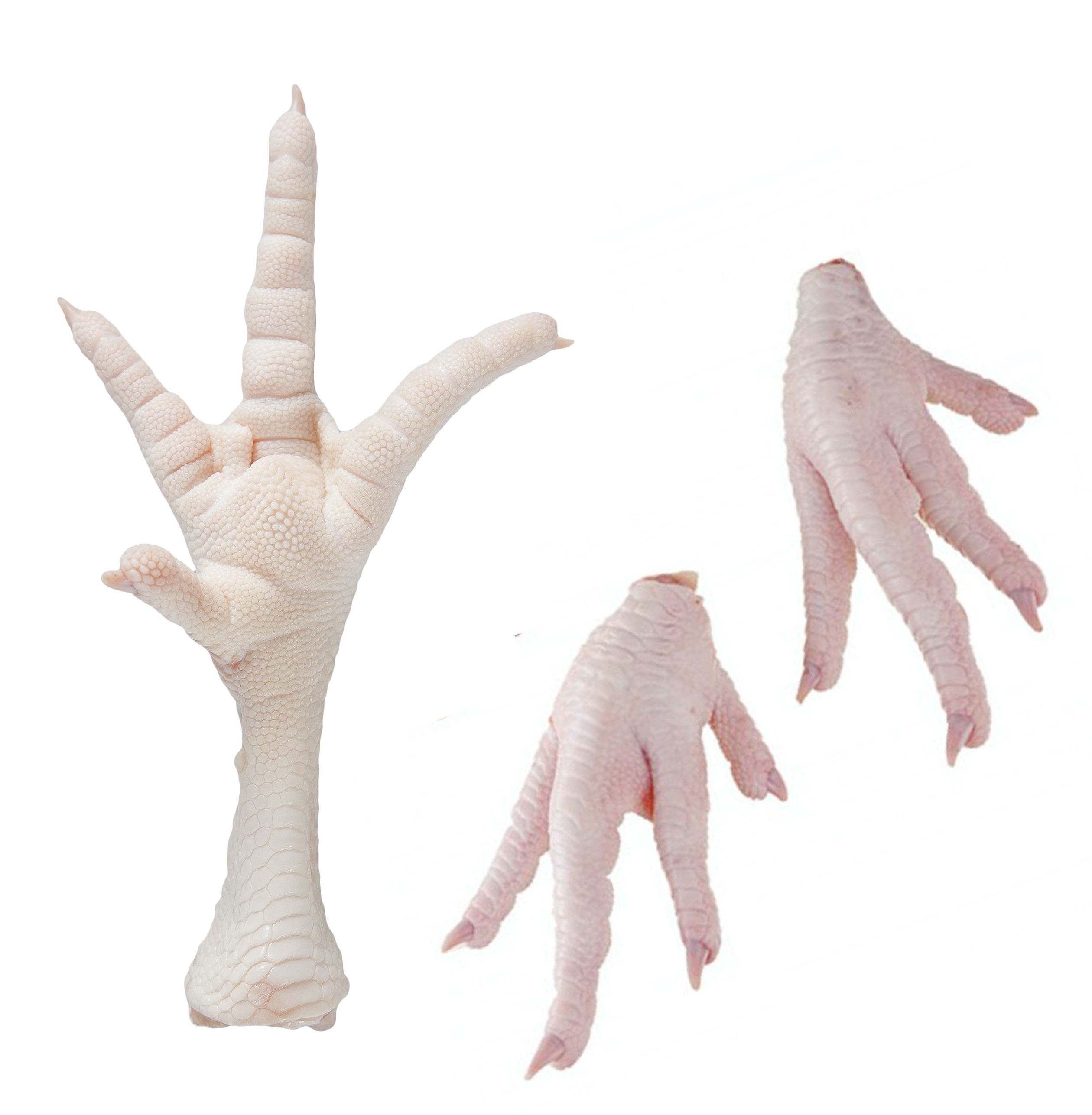 USA Origin Frozen Chicken Paws Chicken Feet for sale from approved SIF plant