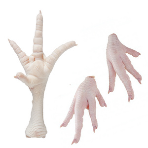 USA Origin Frozen Chicken Paws Chicken Feet for sale from approved SIF plant