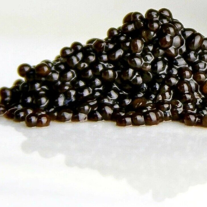 Frozen Salmon Roe / Wholesale Seafood Black Caviar