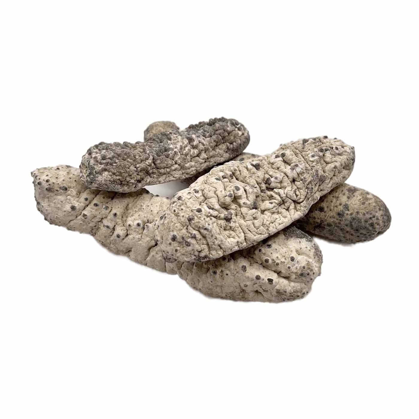 Shop Buy Online Australia Dried Sea Cucumber The Price Of The Sea Cucumber Price Dried Sea Cucumber Organic