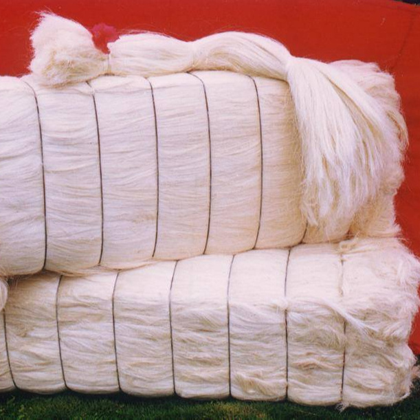 Wholesale Sisal Fiber For Gypsum /Gypsum Hair For Sale SSUG Grade Sisal Fiber in Bulk For Sale - Bulk Raw Sisal Foiber For Sale