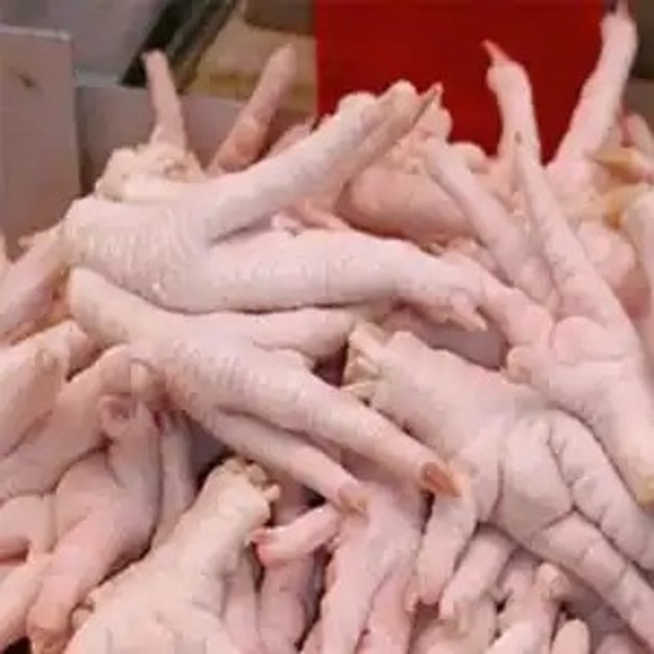 Frozen Chicken Feet for Sale