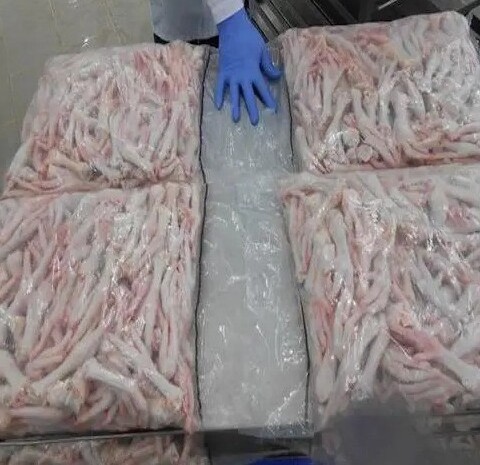 Frozen Chicken Feet for Sale