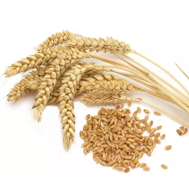 Competitive Price Rice Bran for animal feed Rice Bran Powder Cattle Feed from USA 2023