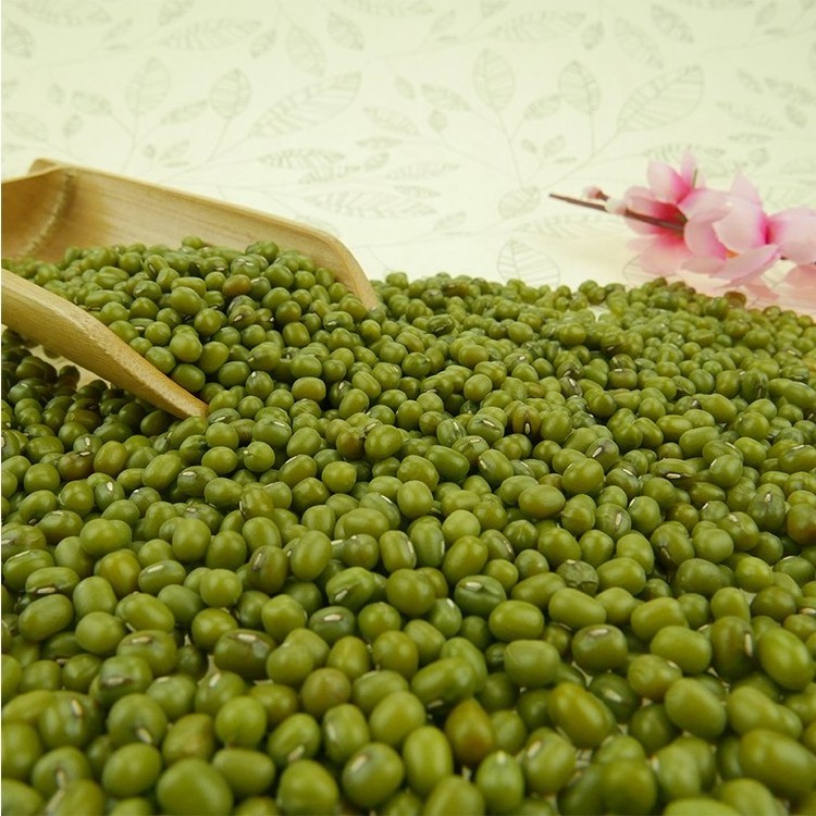 Good Sale Best Quality Certificate Complete IQF Vegetables Frozen Green Peas