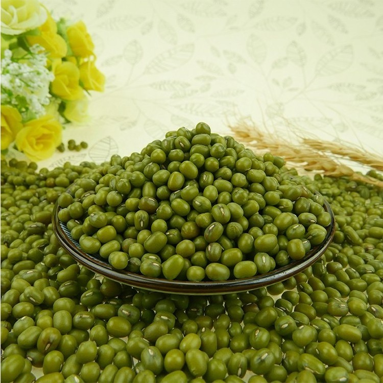 Good Sale Best Quality Certificate Complete IQF Vegetables Frozen Green Peas