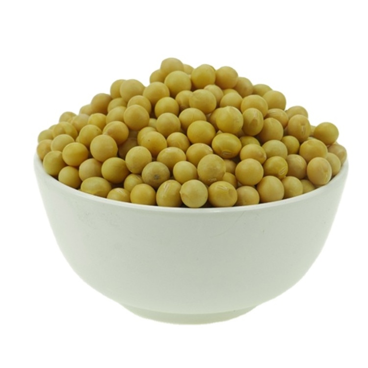 Non GMO Soybeans High Quality Soya Beans / Soy Bean for sale