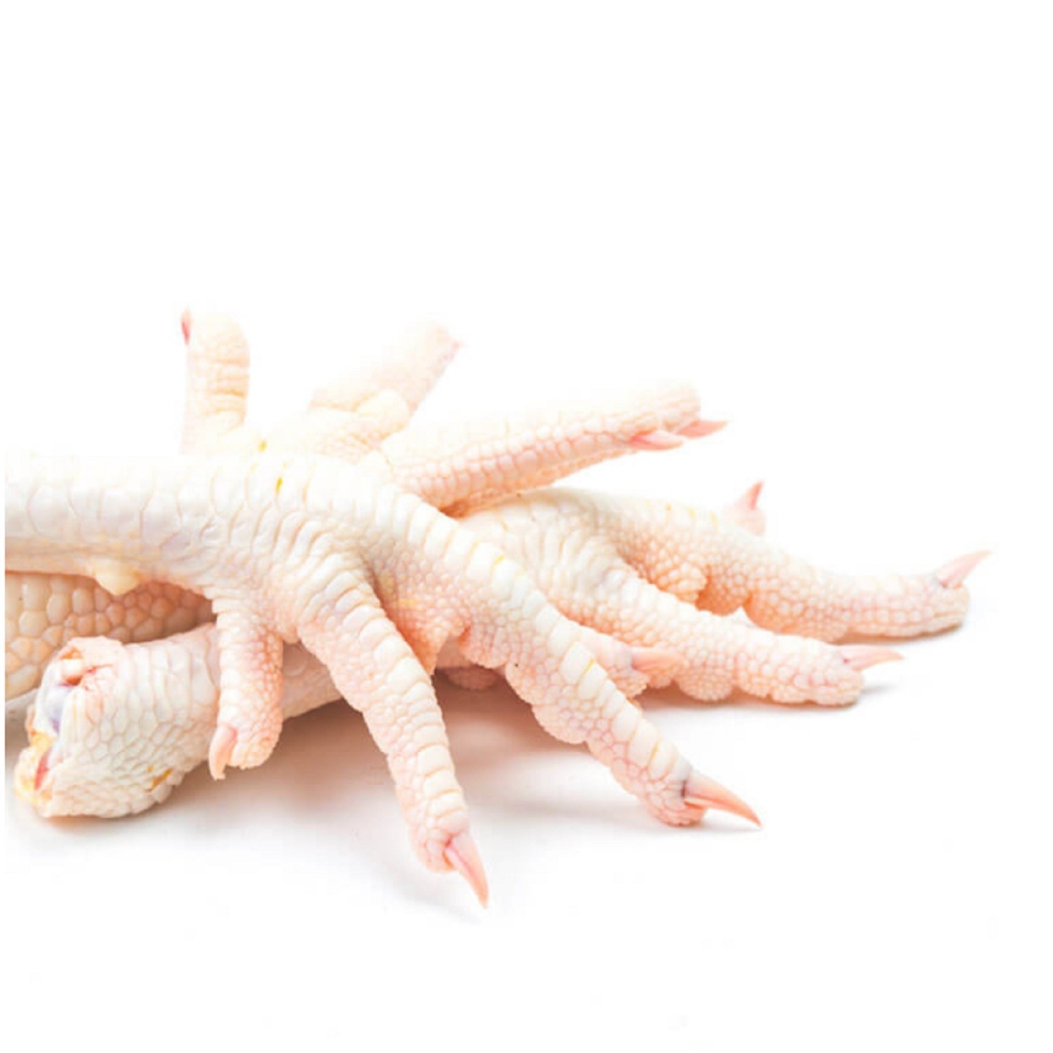 Top quality made in USA ready to ship poultry meat 12 kg frozen chicken feet