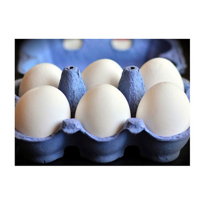 Cheap Farm Fresh  White Shell Chicken Eggs Table Organic Fresh Chicken Table Eggs Fertilized Hatching Eggs