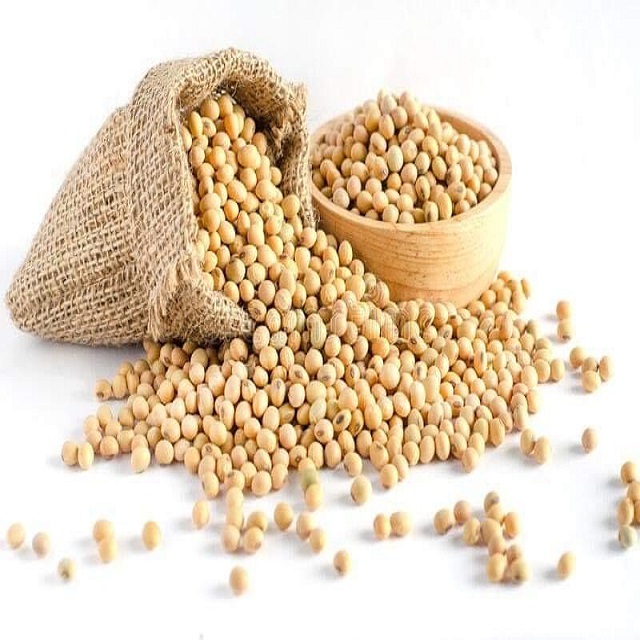 Non GMO Soybeans High Quality Soya Beans / Soy Bean for sale