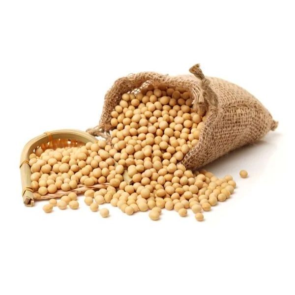 Non GMO Soybeans High Quality Soya Beans / Soy Bean for sale