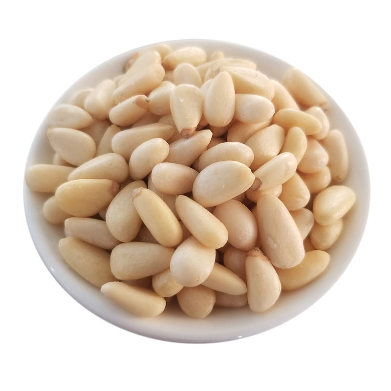 Pine Nut Kernels Original pine nuts / bulk and small package pine nuts