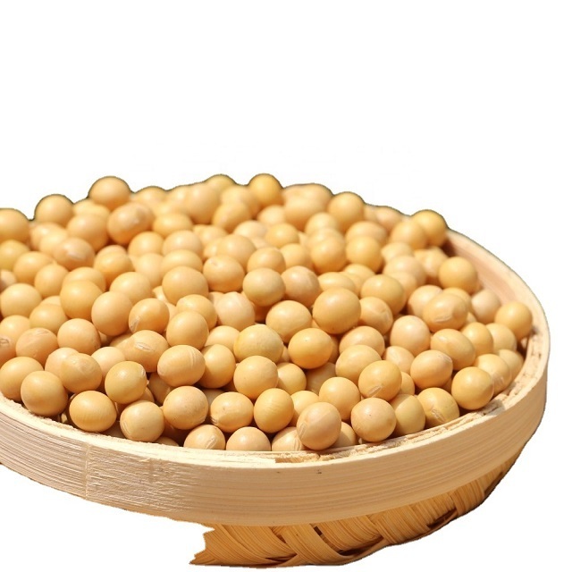 Non GMO Soybeans High Quality Soya Beans / Soy Bean for sale