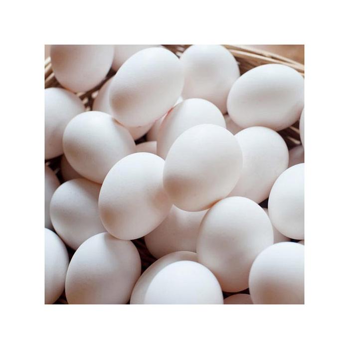 Cheap Farm Fresh  White Shell Chicken Eggs Table Organic Fresh Chicken Table Eggs Fertilized Hatching Eggs