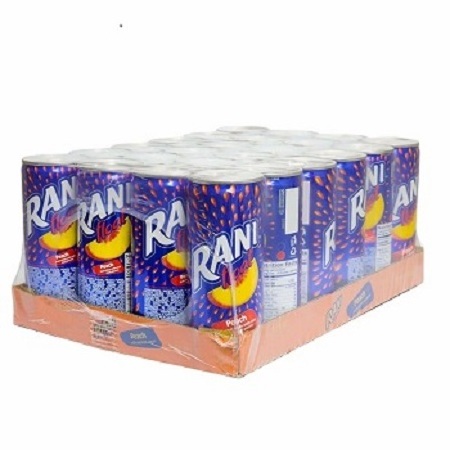 Buy Rani Float - Orange Fruit Drink With Real Fruit Pieces 240 ml Online!!!