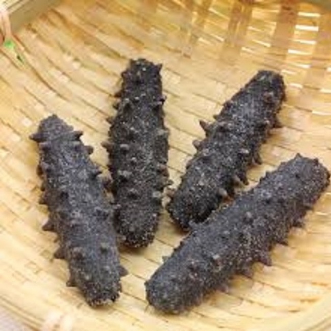 Wholesale Healthy Sea Cucumber Packaging Bag Suppliers Nutrition Sea Cucumber Low Price