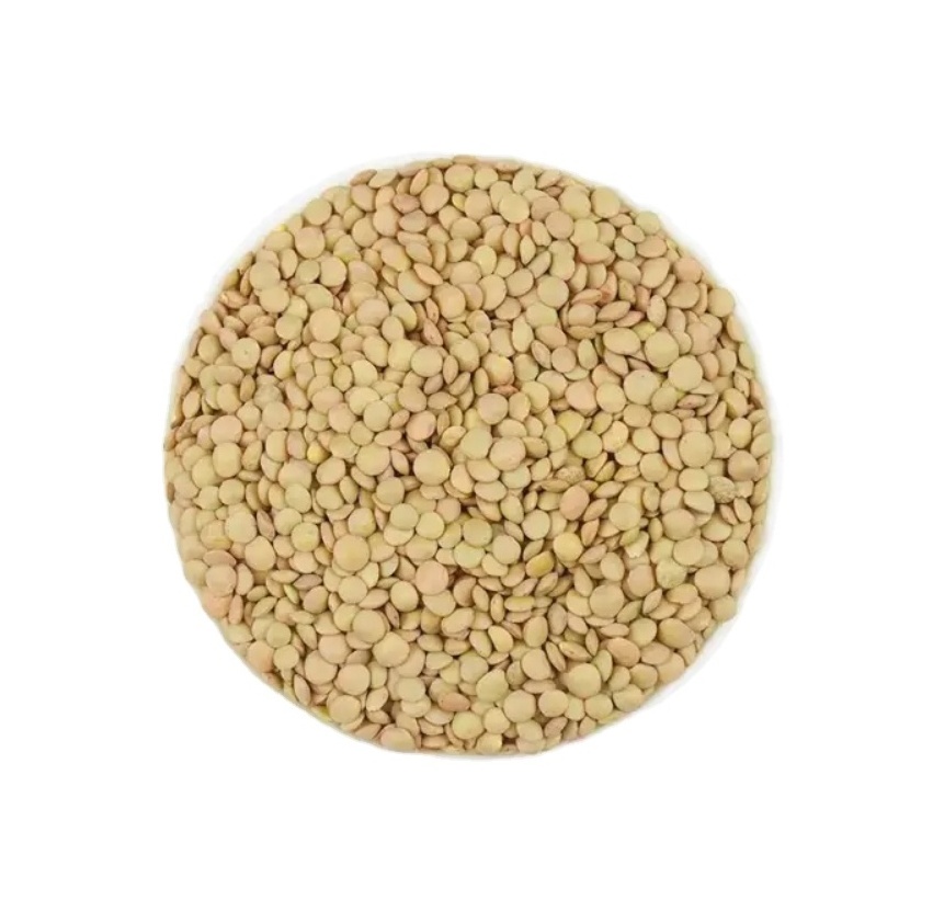 Hot Sale Price Canadian Whole Green Lentils Dry Organic Green Lentils From Canadian Supplier