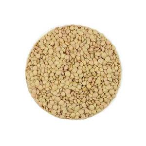 Hot Sale Price Canadian Whole Green Lentils Dry Organic Green Lentils From Canadian Supplier