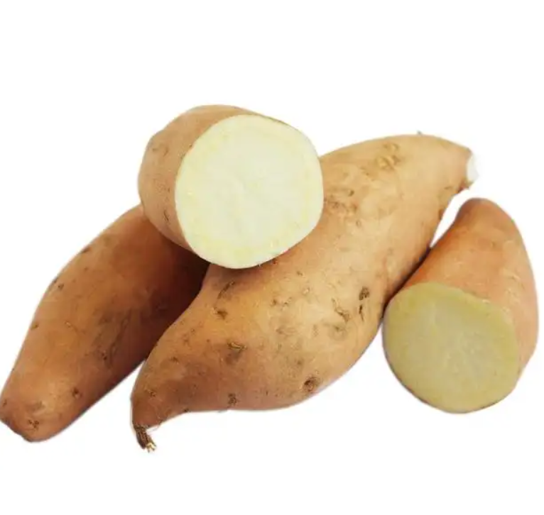 High Quality BRC A 8-10cm Fresh Chinese Yam Factory Wholesale Price IQF Frozen White Chinese Yam