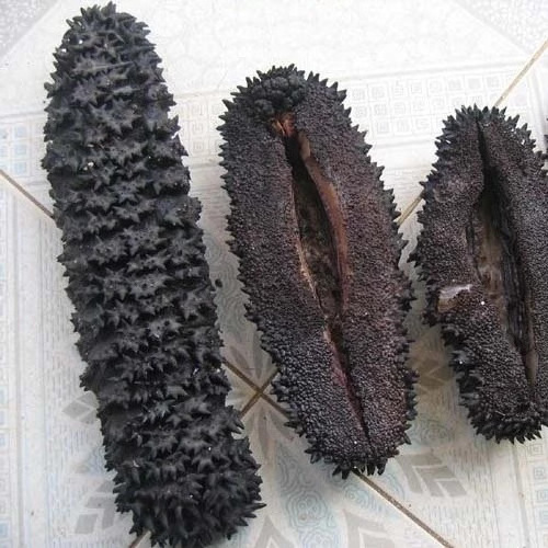 Wholesale Healthy Sea Cucumber Packaging Bag Suppliers Nutrition Sea Cucumber Low Price