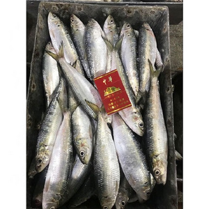 Hot Sale 30-80g Hot Selling Frozen Seafood Sardine Fish Product For Canned Food