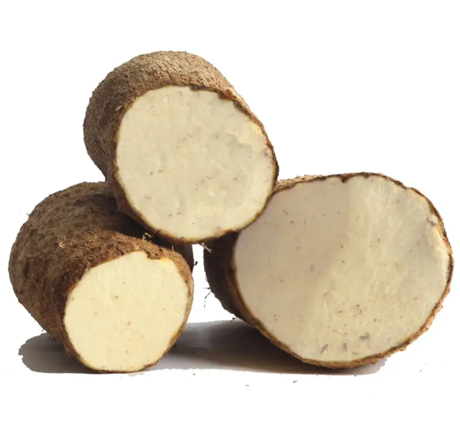 High Quality BRC A 8-10cm Fresh Chinese Yam Factory Wholesale Price IQF Frozen White Chinese Yam