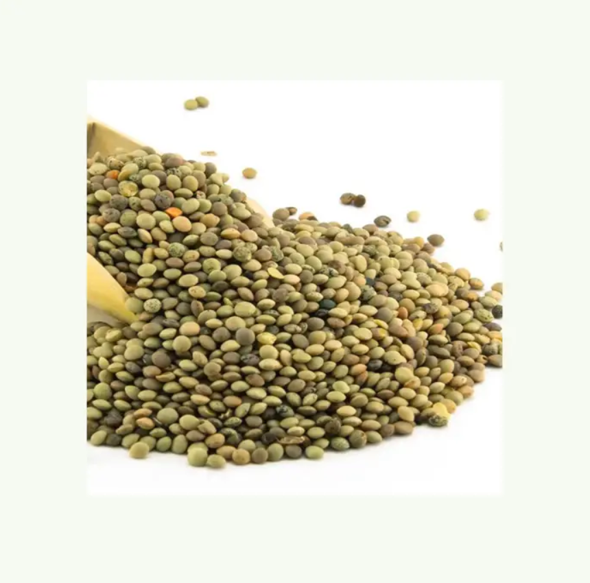 Hot Sale Price Canadian Whole Green Lentils Dry Organic Green Lentils From Canadian Supplier