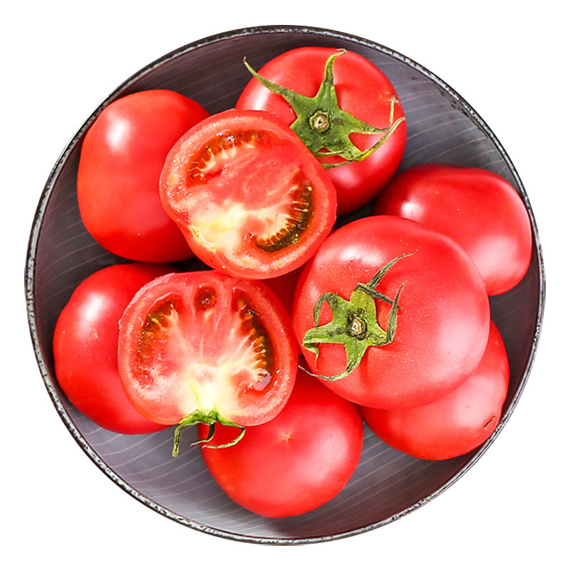 Fresh Tomatoes For Sale - FRESH TOMATOES from USA- Organic Fresh Tomatoes Wholesale Price