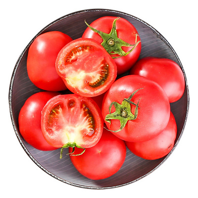 Fresh Tomatoes For Sale - FRESH TOMATOES from USA- Organic Fresh Tomatoes Wholesale Price