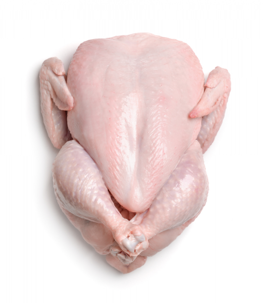 High Quality HALAL Frozen Whole Chicken From Brazilian Wholesale Frozen Chicken Breast From USA