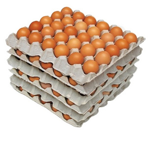 High Quality Organic Certified Free Range Chicken Eggs / FERTILE CHICKEN HATCHING EGGS Low Price