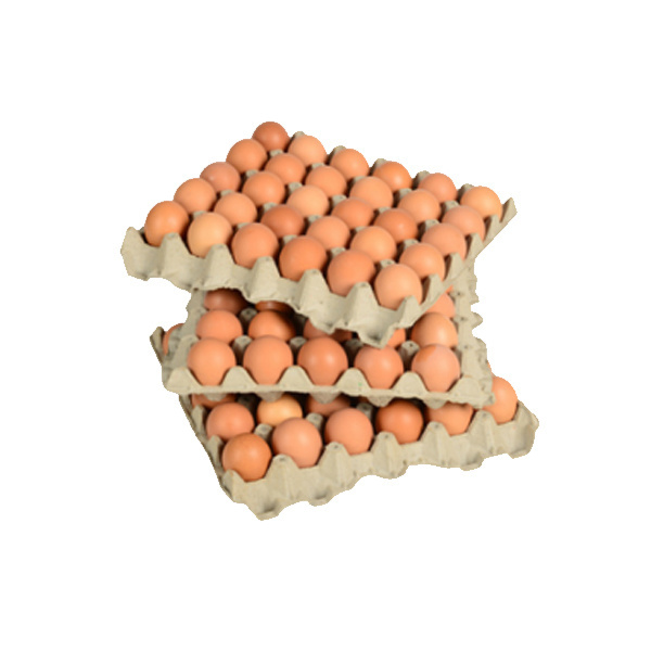 High Quality Organic Certified Free Range Chicken Eggs / FERTILE CHICKEN HATCHING EGGS Low Price