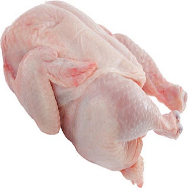 Top Selling Premium Halal Frozen Whole Chicken, Chicken Feet, Paws, Wings and Drum Sticks Box Packaging Cutting POULTRY