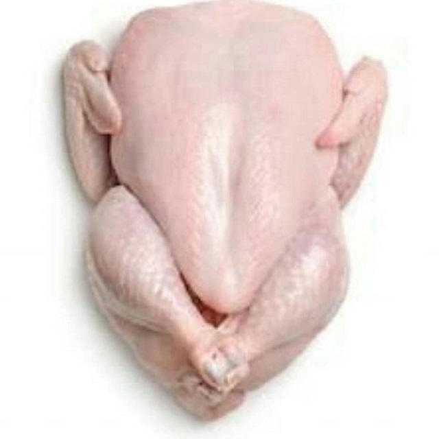 High Quality HALAL Frozen Whole Chicken From Brazilian Wholesale Frozen Chicken Breast From USA