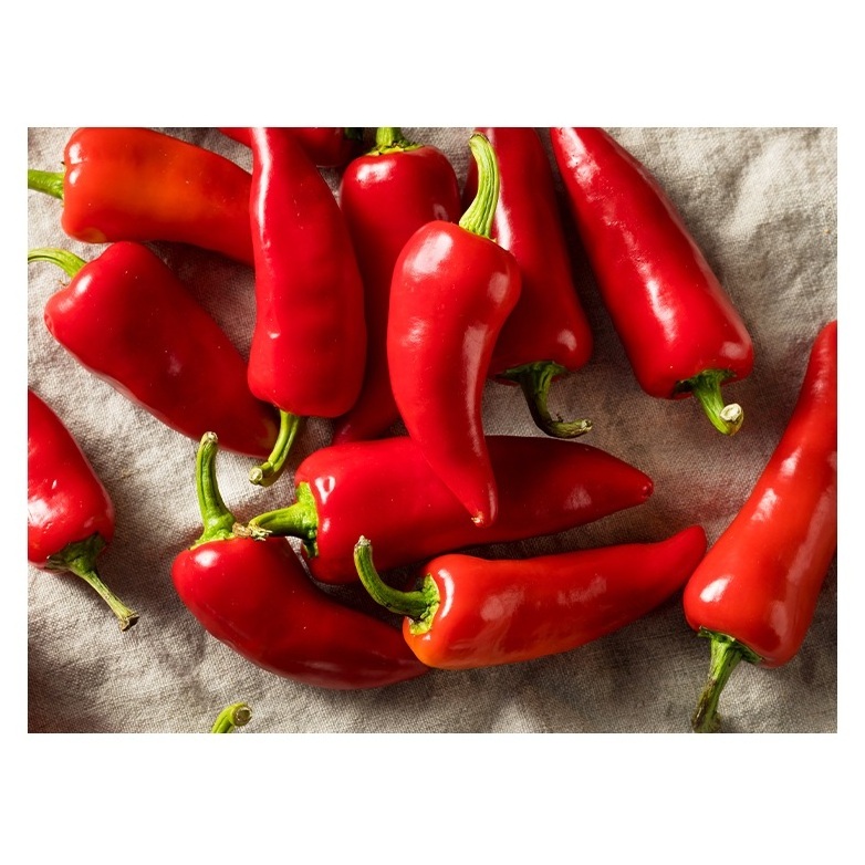 Hot Spicy wholesale price dry / Fresh hot red chili