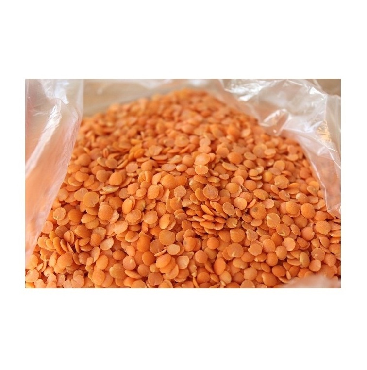 Top Quality Red Lentils Whole Lentils Split Lentils Best Price Masoor Dal Hot Sale Cheaper Price