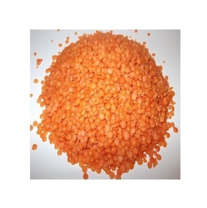 Top Quality Red Lentils Whole Lentils Split Lentils Best Price Masoor Dal Hot Sale Cheaper Price