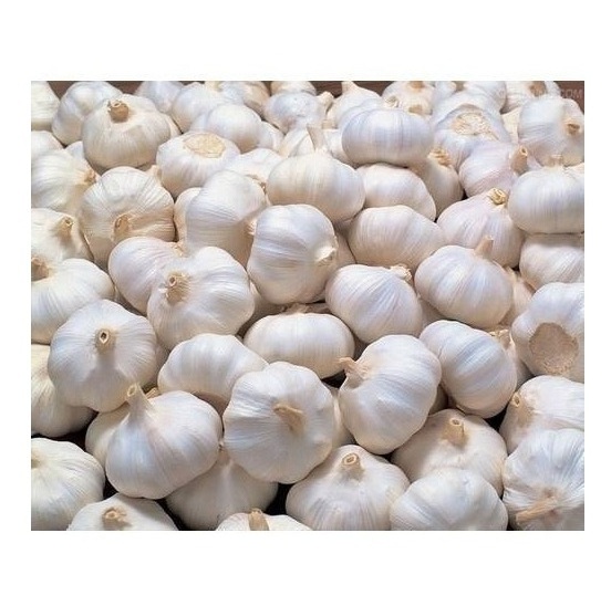 100% Natural Quality Fresh White Garlic Fresh Vegetable Bulk Garlics For Sale