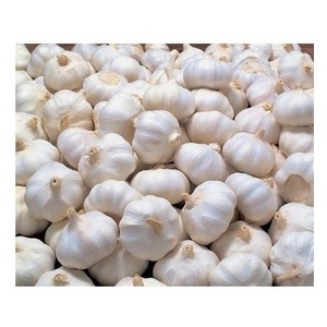 100% Natural Quality Fresh White Garlic Fresh Vegetable Bulk Garlics For Sale