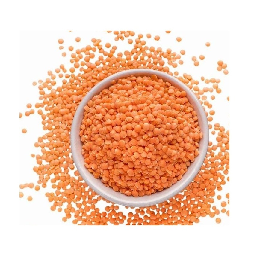 Top Quality Red Lentils Whole Lentils Split Lentils Best Price Masoor Dal Hot Sale Cheaper Price