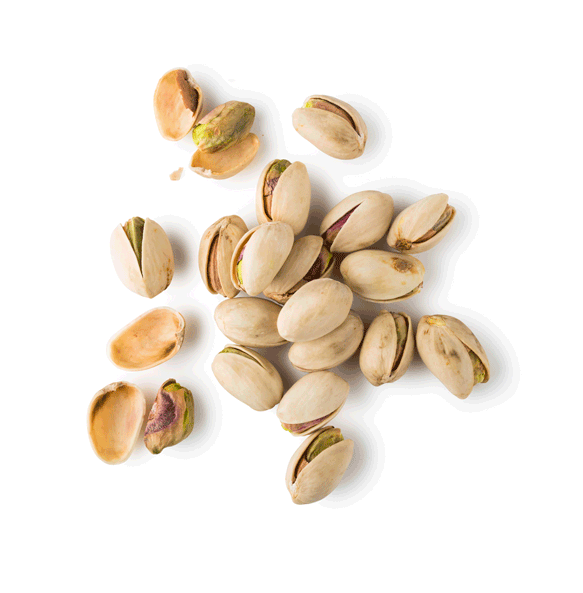 Wholesale Nuts Snacks Pistachios Nuts / Raw Dried Organic Pistachios